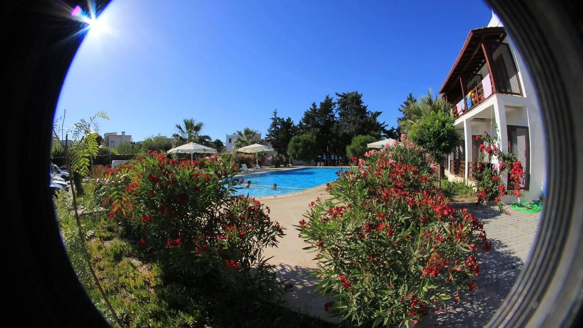 Selvi Beach Hotel Göltürkbükü 3*,  Turkije