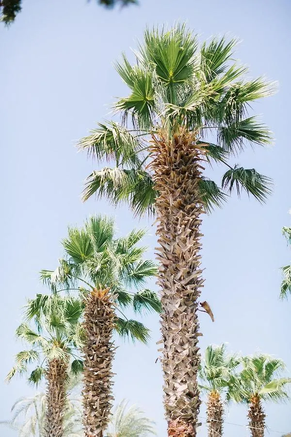 ***  Selvi Beach Hotel Göltürkbükü Turkije