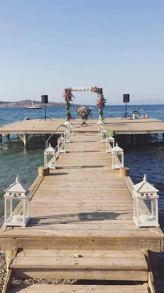 Selvi Beach Hotel Göltürkbükü 3*,  Turkije